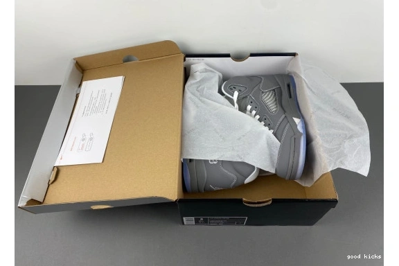   136027-005 136027-005  'Wolf Jordan 5 Retro Grey' 0331